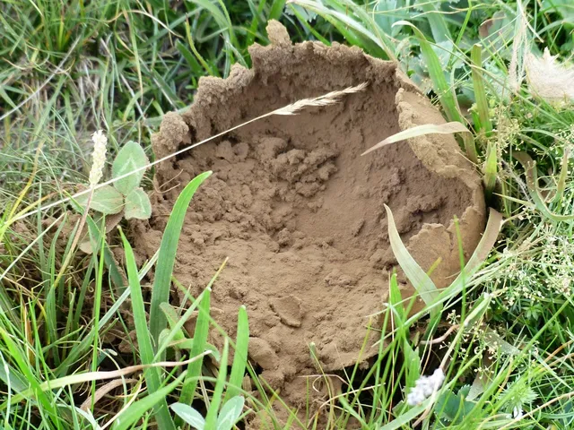 Kakao Nesquik 200 g NESTLE