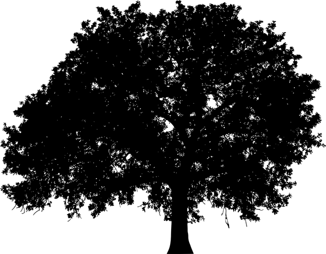 Brykiet drzewny 2,5kg